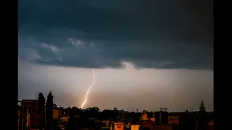 IMD Issues Rainfall and Thunderstorm Warnings Across Multiple States