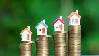 Gold Mutual Funds vs Sovereign Gold Bonds Top Options For Youth