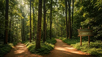 Eco Conscious Newlyweds Mass Book Central India Forest Escapes
