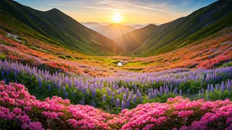 India's Floral Wonders: 6 Destinations Outshining Japan's Cherry Blossoms This Spring