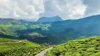 Best South Indian hill station drives