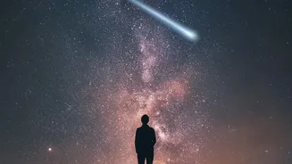 Where Night Sky Observers Can Enjoy Peak Shooting Stars Across Rural India Locations
