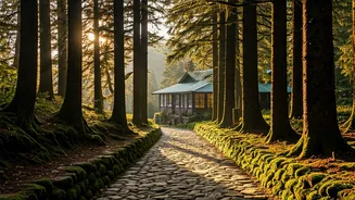 Bakery Walks And Mountain Calm Define Landour