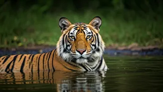 November Escapes: 6 Indian Getaways