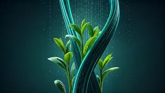 AI Tools Are Rewriting India’s Startup Entry Barriers