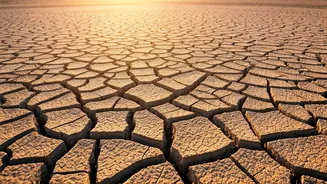 Driest June In 146 Years Breaks All Weather Records