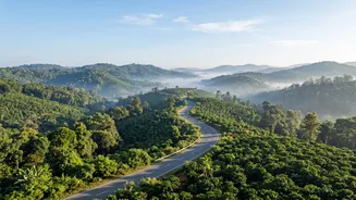 Why Early Winter Drives From Bengaluru To Coorg Provide Scenic Relief From City Stress