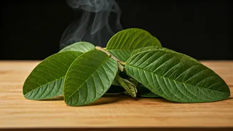 Unlock Your Well-being: The Amazing Benefits of Daily Guava Leaf Tea
