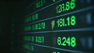 Top Stocks Retail Investors Favor: A Deep Dive