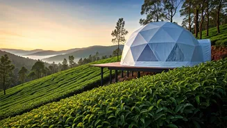 Book Geodesic Glamping Domes In Munnar For Epic Views
