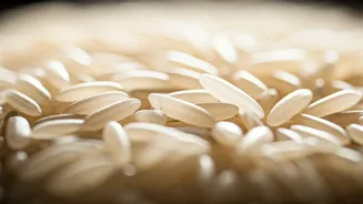 Mastering Fluffy White Rice: The Foolproof Method for Perfect Grains Every Time