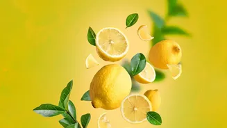 The Role Of Soil In Growing Lemons At Home