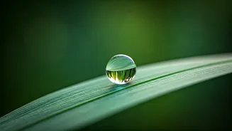 Master Your Emotions: 10 Simple Habits for Enhanced Emotional Intelligence