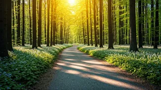 Focus on Mental Wellbeing During Life Changes