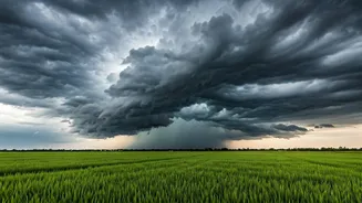 Tamil Nadu Braces for Heavy Rainfall: Delta Districts on Alert as Bay of Bengal System Intensifies