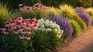 Bask in Brilliance: 14 Effortless Plants for Sun-Drenched Gardens