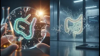 How common sugar alternatives spark debate among gastroenterologists over microbiome safety concerns