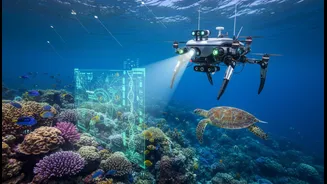 Marine Ecosystems Benefit From Better Science And Better Monitoring