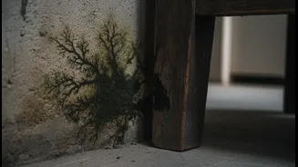 Avoid Pushing Furniture Tight Against Walls During Damp Months