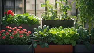 Urban Gardening Is Officially Cool