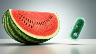 Watermelon Fears Debunked: Expert Insights on Food Safety, Not Fruit Toxicity