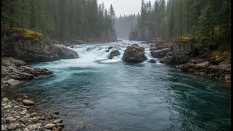 River Conditions Matter More Than Spectator Excitement When Booking An Activity