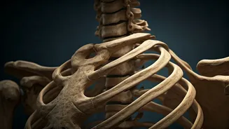 Protect Your Bones: Simple Weekly Exercise