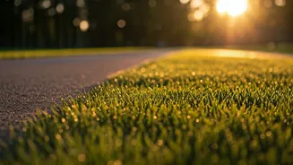 Why Early Workouts Feel Better