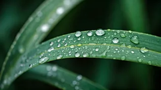 Monsoon Beauty Lovers Are Keeping It Simple