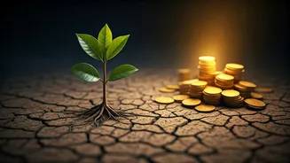 Financial Strain Is Shaping Young India’s Career Choices