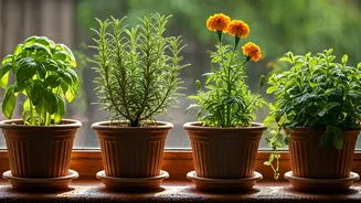 5 Natural Plant Allies to Keep Lizards Out of Your Indian Home
