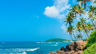 How Spontaneous Planners Experience Tropical Sri Lanka Without Spending Months In Preparation