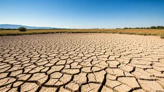 India's Climate Fight: Challenges, Changes, and the Future