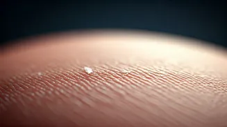 Related Stories banner