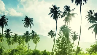 Mumbai To Nature: Rain-Friendly Road Trips That Cost Less Than You Think