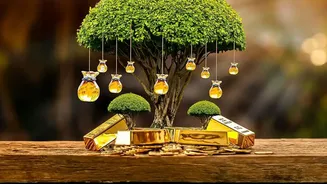 Tax-Saving ELSS Funds: How August SIP Starts Save You From March Panic