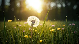 Sensible Outdoor Timing Is The New Wellness Hack
