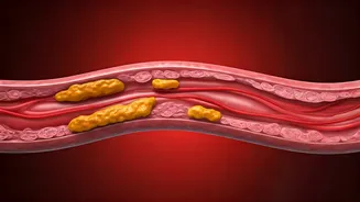 Cholesterol Alert: Young Indians in their 20s Facing Early Heart Risks