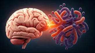 Why Gut Health Is Formally Linked To Mental Clarity