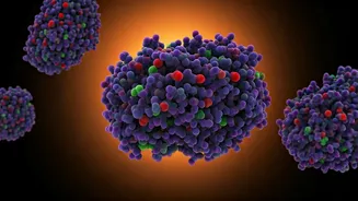 Unlocking Protease: Benefits for Your Body & Health