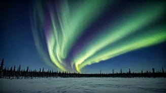Aurora Alerts: Your Guide to Catching the Northern Lights