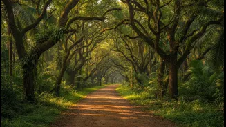 Beyond Sun and Sand, Goa's Hinterland Is Attracting Curious Young Travellers