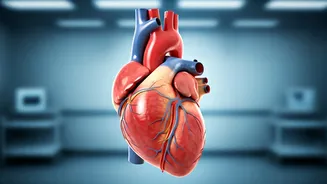 What To Do If You're Having a Heart Attack?