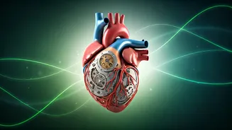 Unlock a Healthier Heart: Simple Daily Habits for Longevity and Vitality