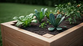 Raised Beds