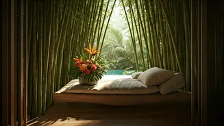 Central India Dense Bamboo Forests Hide New Honeymoon Sanctuaries