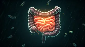 Monsoon Gut Care Starts With Simple Habits