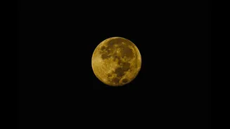 June Strawberry Moon 2026: Viewing Guide for India