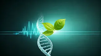 Decoding Health & Wellness: From Diabetes Management to Skin Secrets