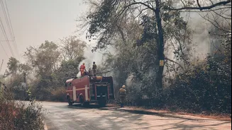 India's Forest Fire Policies Focused on Suppression Despite Climate Challenges